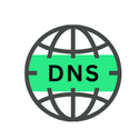 dns lookup