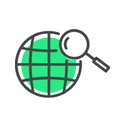reverse IP
